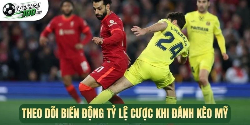 Theo dõi biến động tỷ lệ cược khi đánh kèo Mỹ