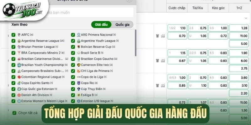 Tỷ Lệ Kèo Nhà Cái - Cập Nhật Kèo Bóng Đá Chuẩn Xác Hàng Ngày 380 Tổng hợp giải đấu quốc gia hàng đầu