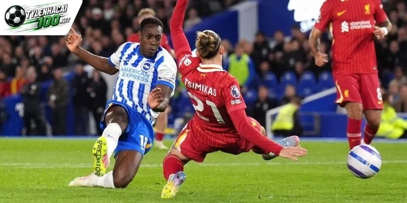 Chốt kèo Liverpool vs Brighton đáng chú ý